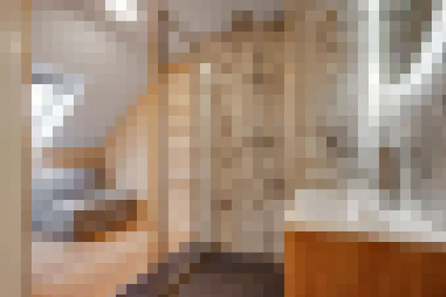 Labouchèrelaan 42 Rijswijk thumbnail 31