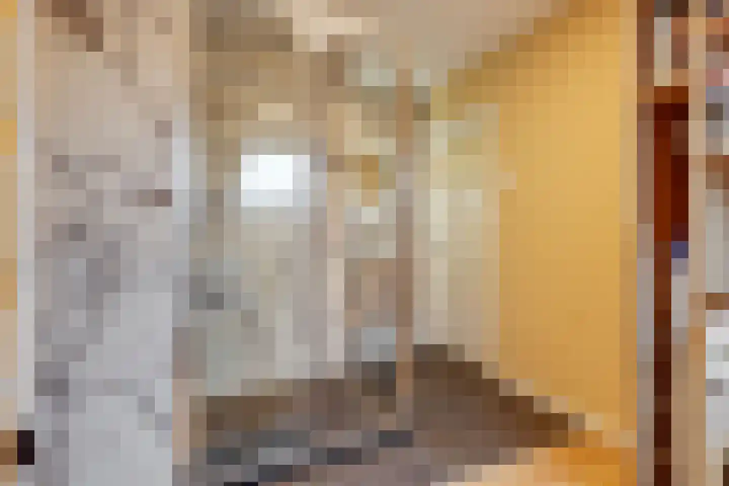 Labouchèrelaan 42 Rijswijk thumbnail 32