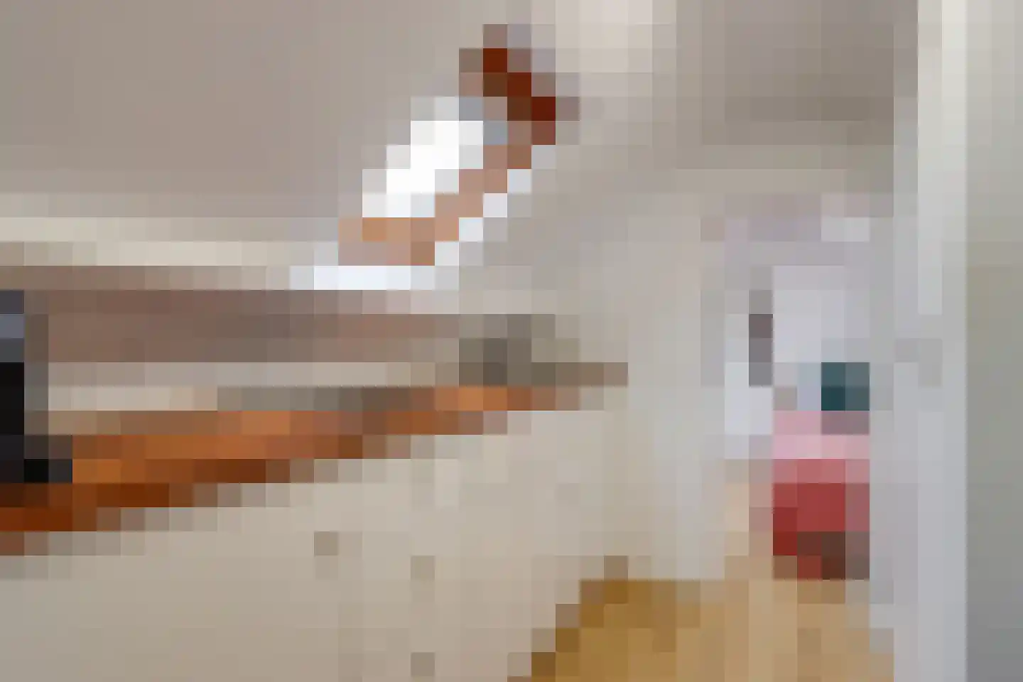 Labouchèrelaan 42 Rijswijk thumbnail 35