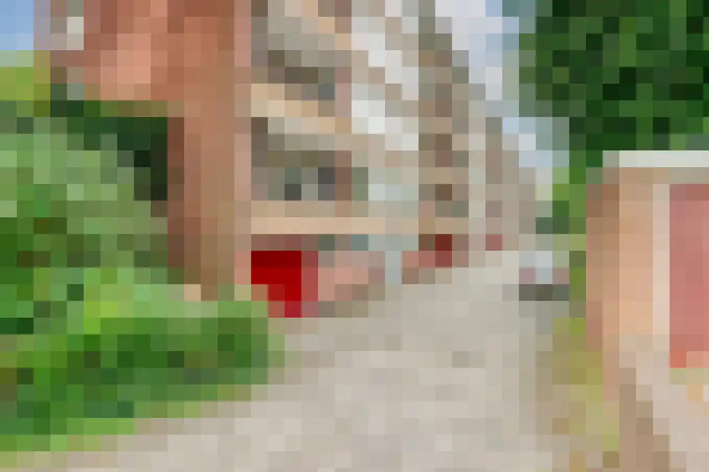Labouchèrelaan 42 Rijswijk thumbnail 43