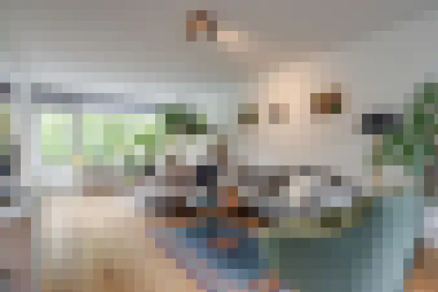 Labouchèrelaan 42 Rijswijk thumbnail 6