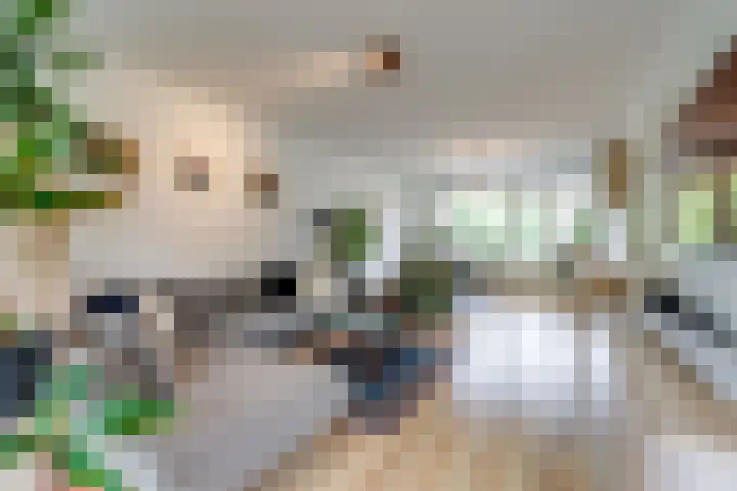 Labouchèrelaan 42 Rijswijk thumbnail 7