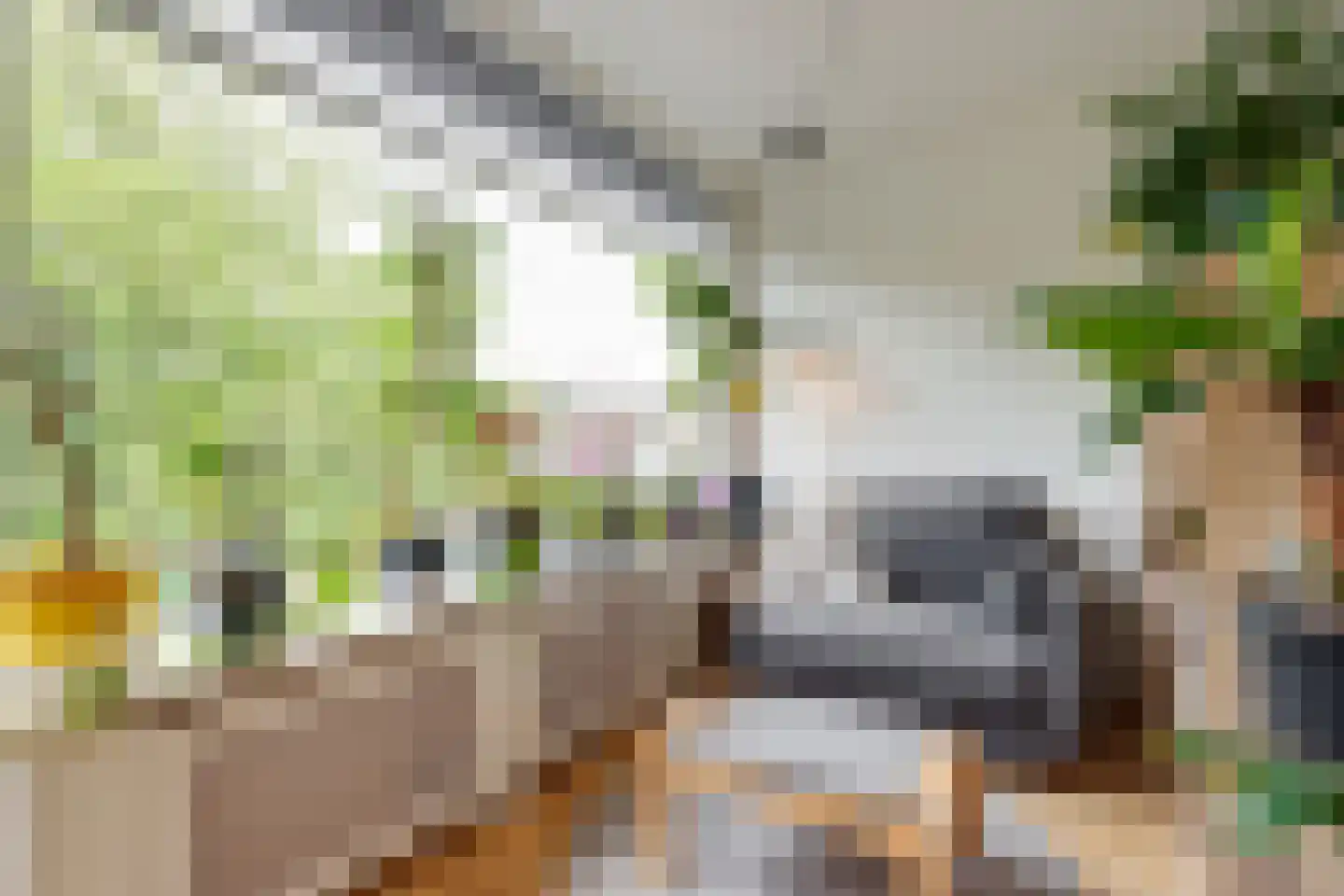 Labouchèrelaan 42 Rijswijk thumbnail 8
