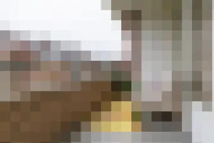 Labouchèrelaan 54 Rijswijk thumbnail 16
