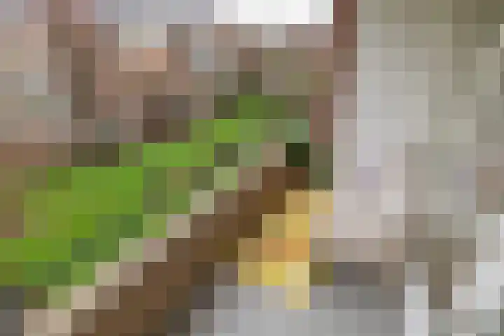 Labouchèrelaan 54 Rijswijk thumbnail 4