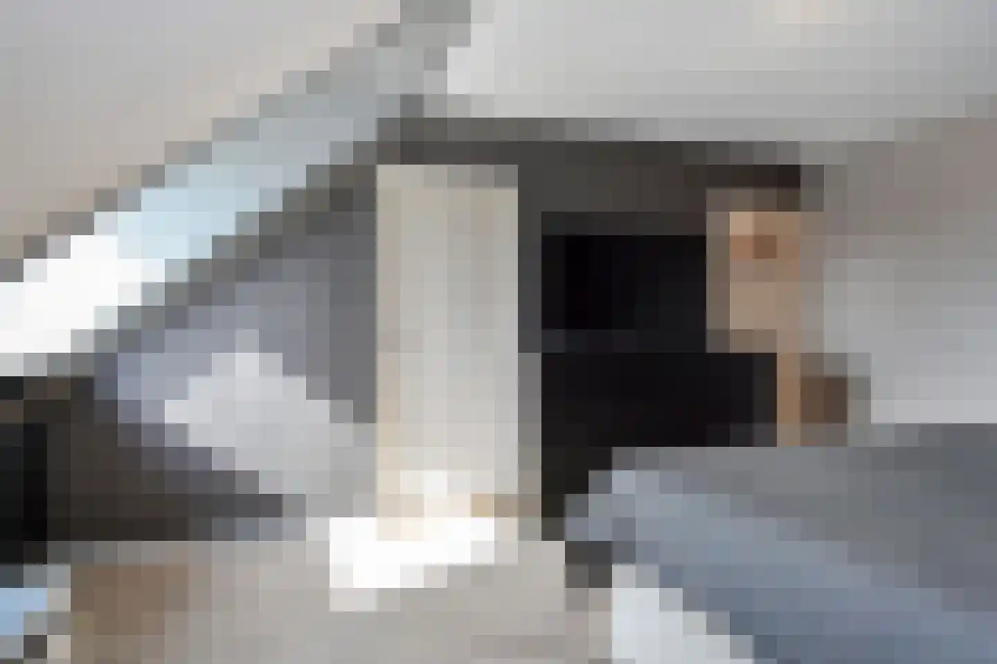 Labouchèrelaan 72 Rijswijk thumbnail 32