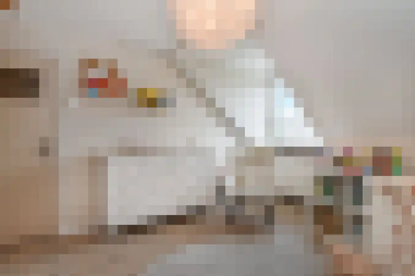 Labouchèrelaan 72 Rijswijk thumbnail 33