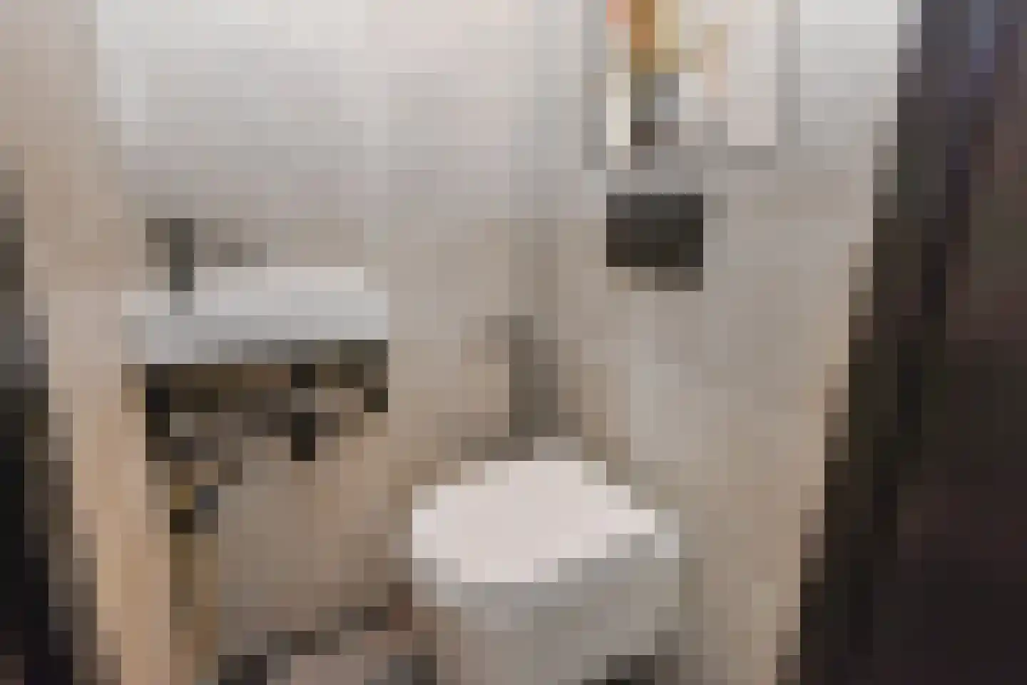 Labouchèrelaan 72 Rijswijk thumbnail 6