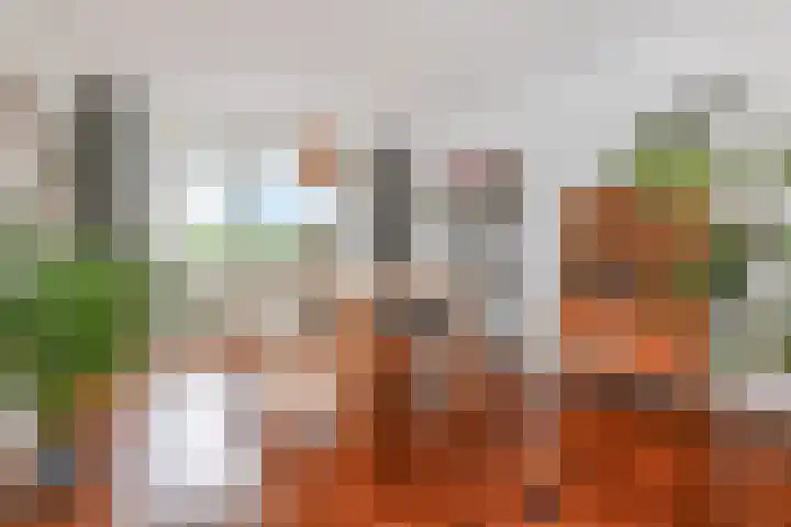 Labouchèrelaan 8 Rijswijk thumbnail 14