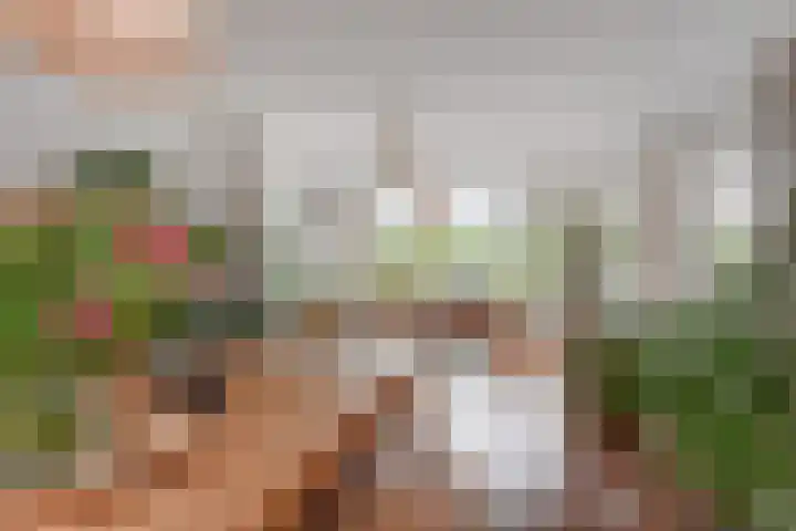 Labouchèrelaan 8 Rijswijk thumbnail 19