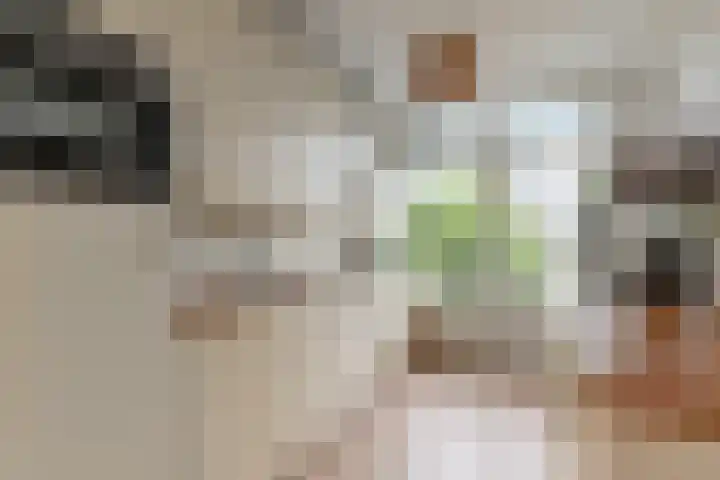 Labouchèrelaan 8 Rijswijk thumbnail 21