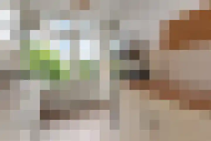 Labouchèrelaan 8 Rijswijk thumbnail 24