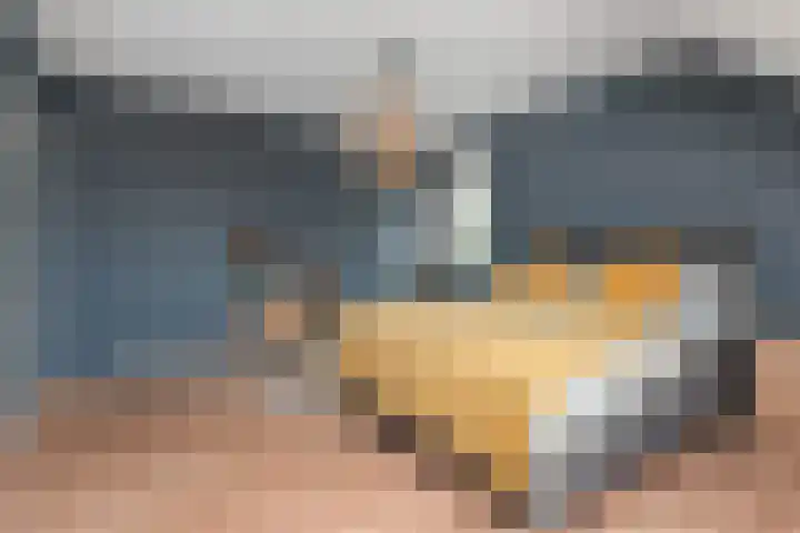 Labouchèrelaan 8 Rijswijk thumbnail 38