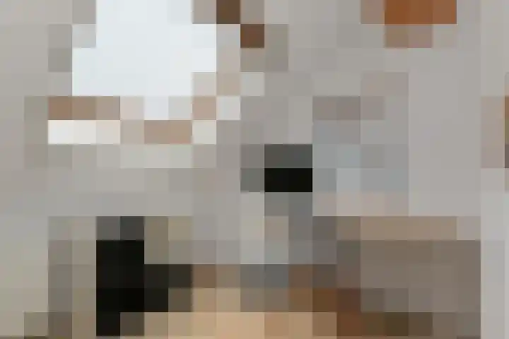 Labouchèrelaan 8 Rijswijk thumbnail 39