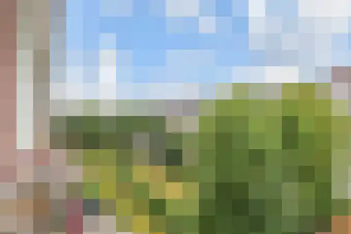 Labouchèrelaan 8 Rijswijk thumbnail 45