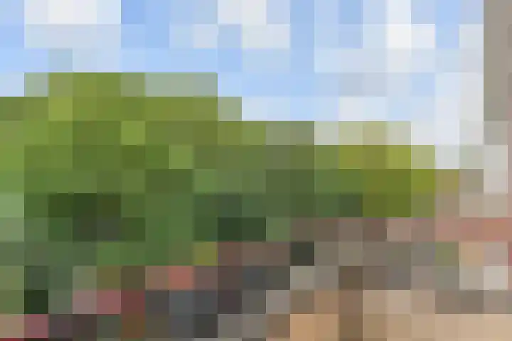 Labouchèrelaan 8 Rijswijk thumbnail 48