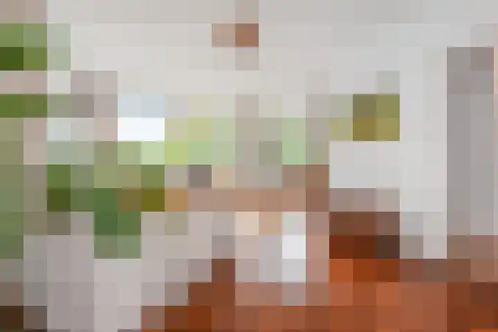Labouchèrelaan 8 Rijswijk thumbnail 8