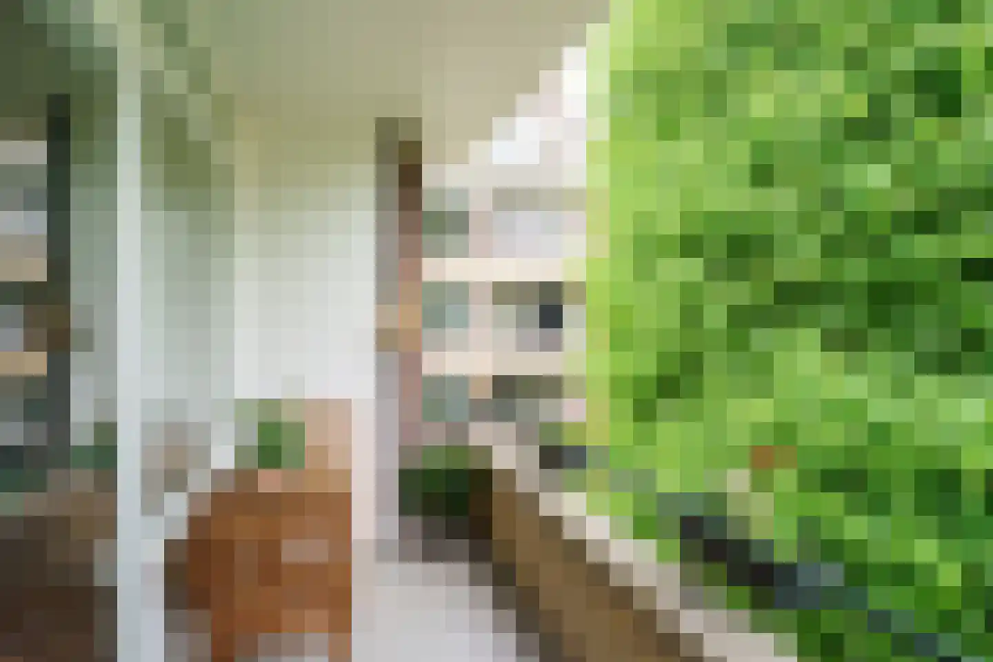 Labouchèrelaan 92 Rijswijk thumbnail 16