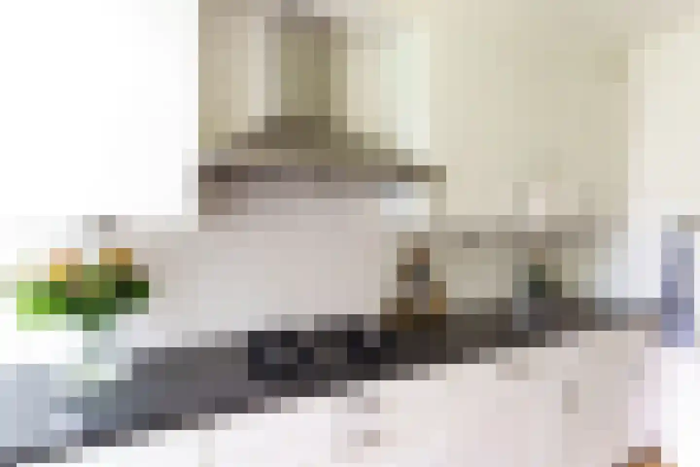 Labouchèrelaan 92 Rijswijk thumbnail 17
