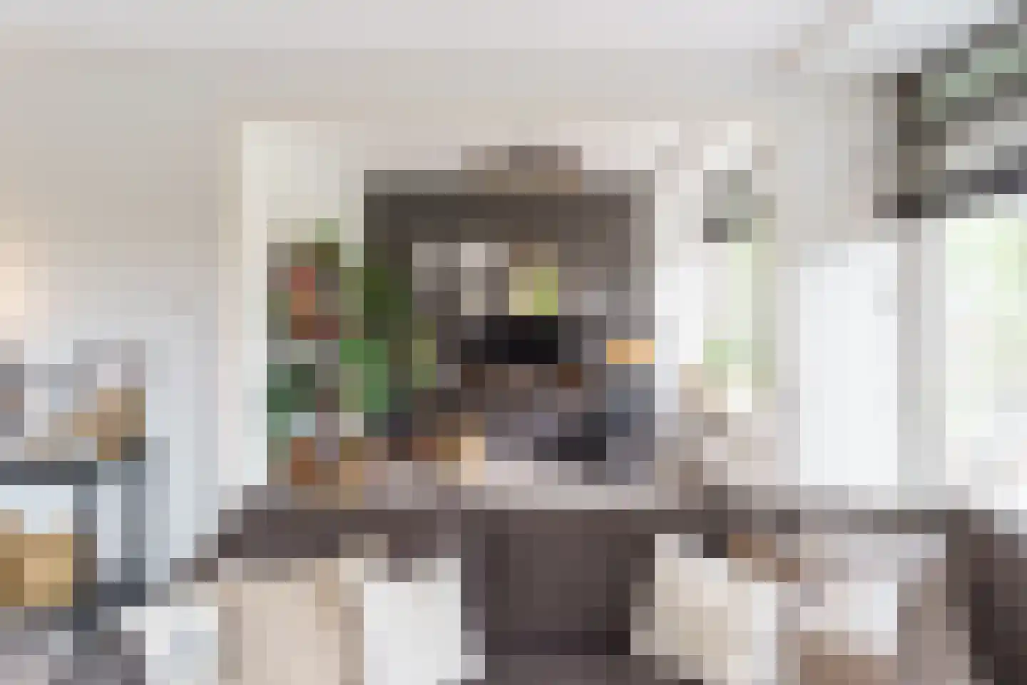 Labouchèrelaan 92 Rijswijk thumbnail 4