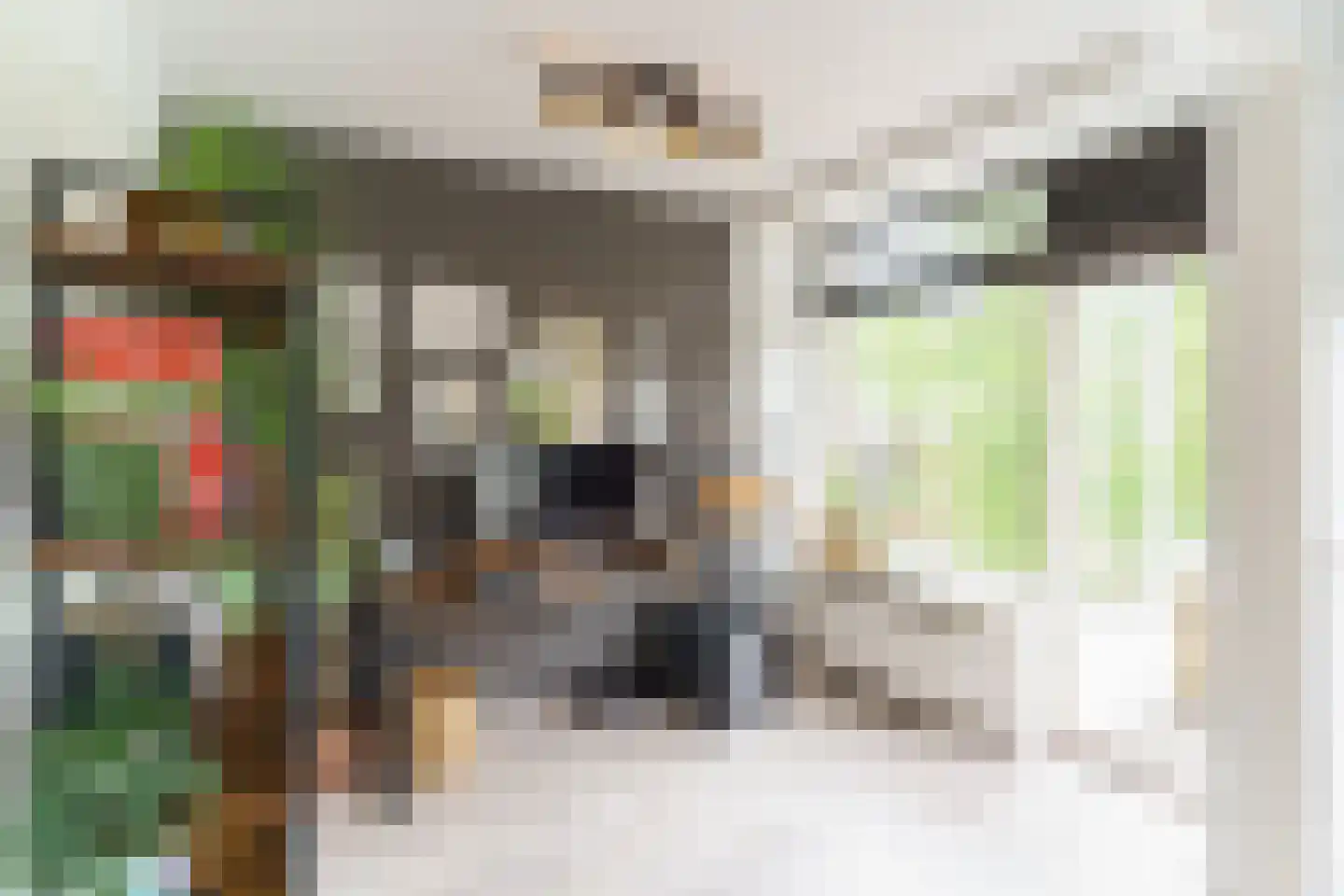 Labouchèrelaan 92 Rijswijk thumbnail 5