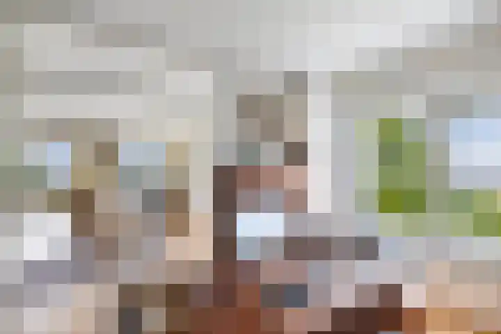 Labradorstroom 15 Huizen thumbnail 10