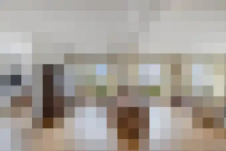 Labradorstroom 15 Huizen thumbnail 14