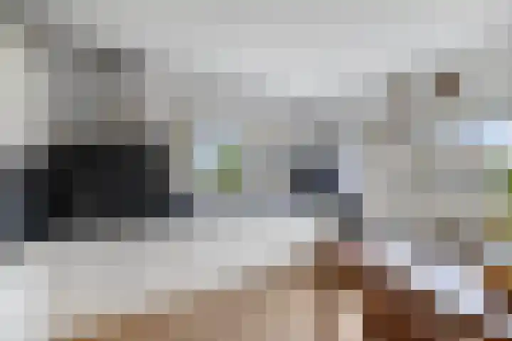 Labradorstroom 15 Huizen thumbnail 16