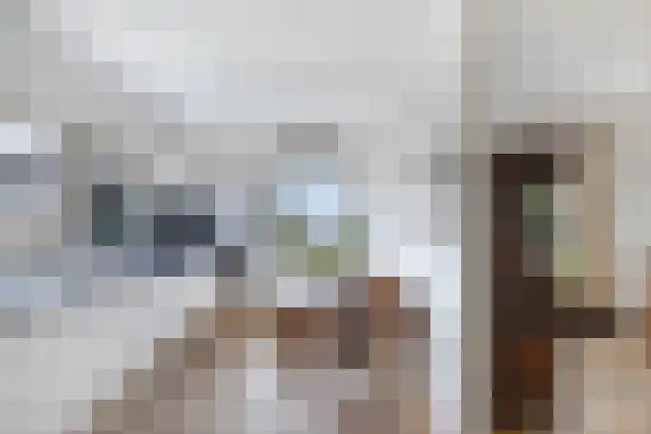 Labradorstroom 15 Huizen thumbnail 17