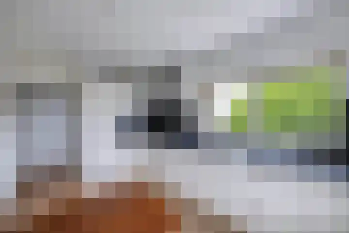 Labradorstroom 15 Huizen thumbnail 18