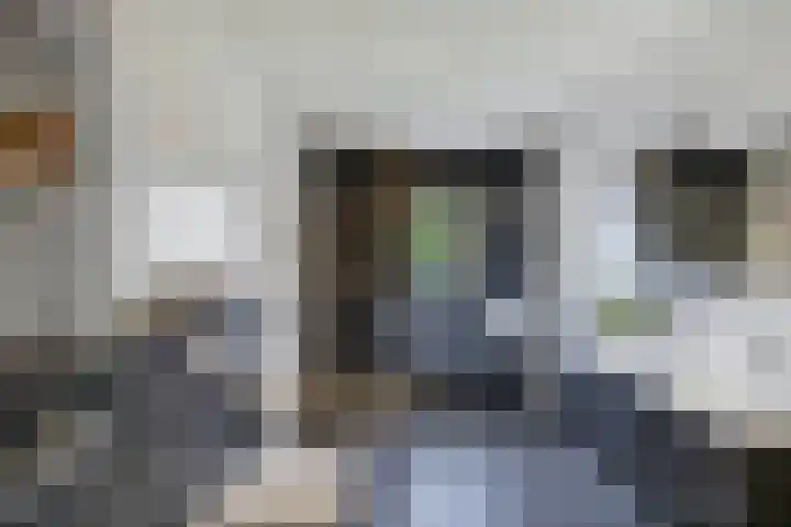 Labradorstroom 15 Huizen thumbnail 21