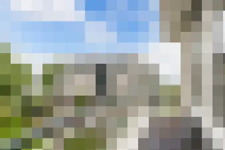 Labradorstroom 15 Huizen thumbnail 25