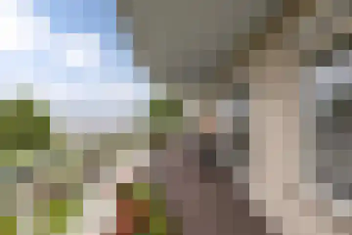 Labradorstroom 15 Huizen thumbnail 27