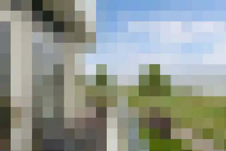 Labradorstroom 15 Huizen thumbnail 28