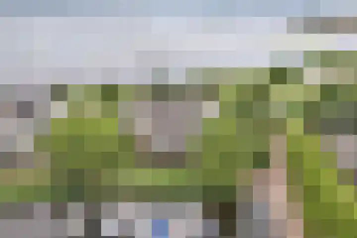 Labradorstroom 15 Huizen thumbnail 35