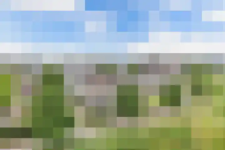 Labradorstroom 15 Huizen thumbnail 38