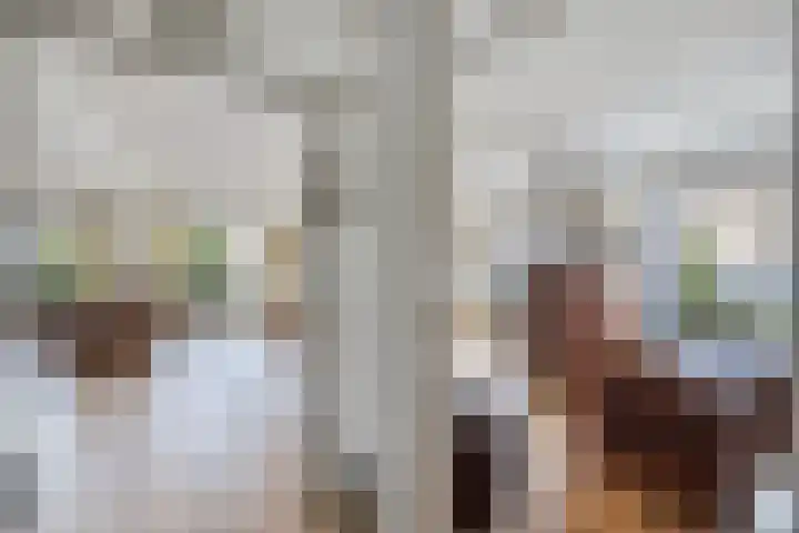 Labradorstroom 15 Huizen thumbnail 8
