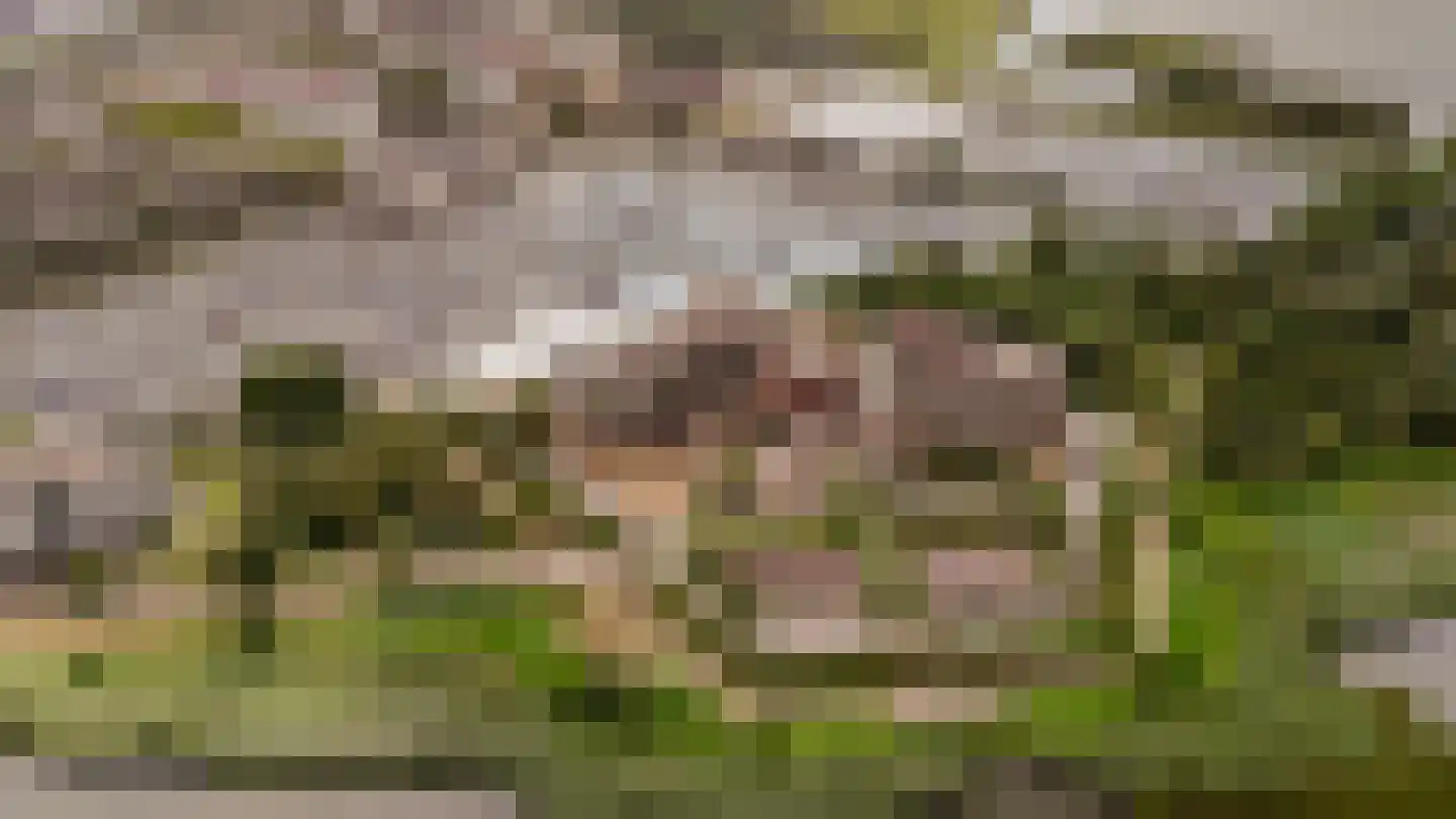 Labradorstroom 157 Huizen thumbnail 54