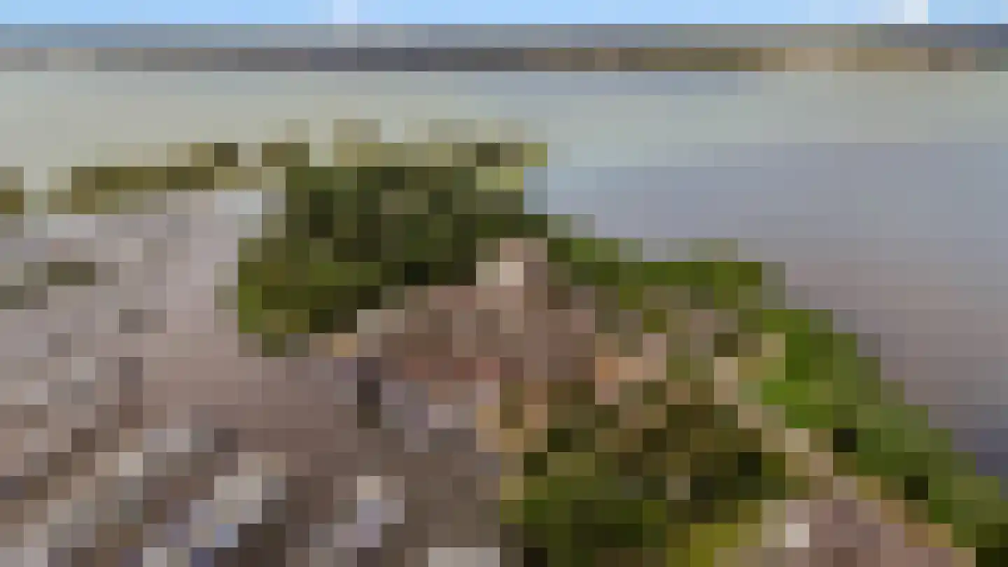 Labradorstroom 157 Huizen thumbnail 55