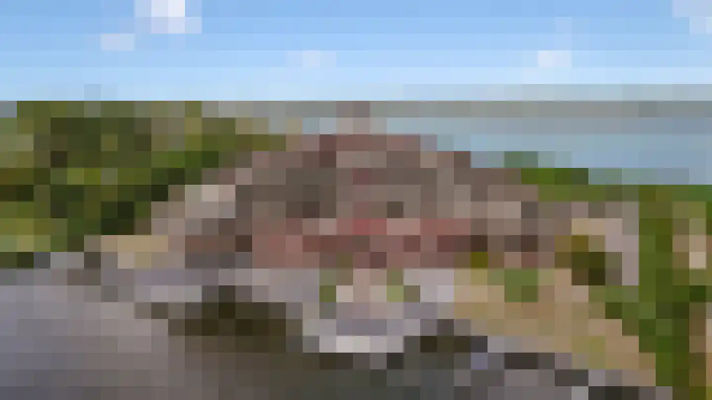 Labradorstroom 157 Huizen thumbnail 56