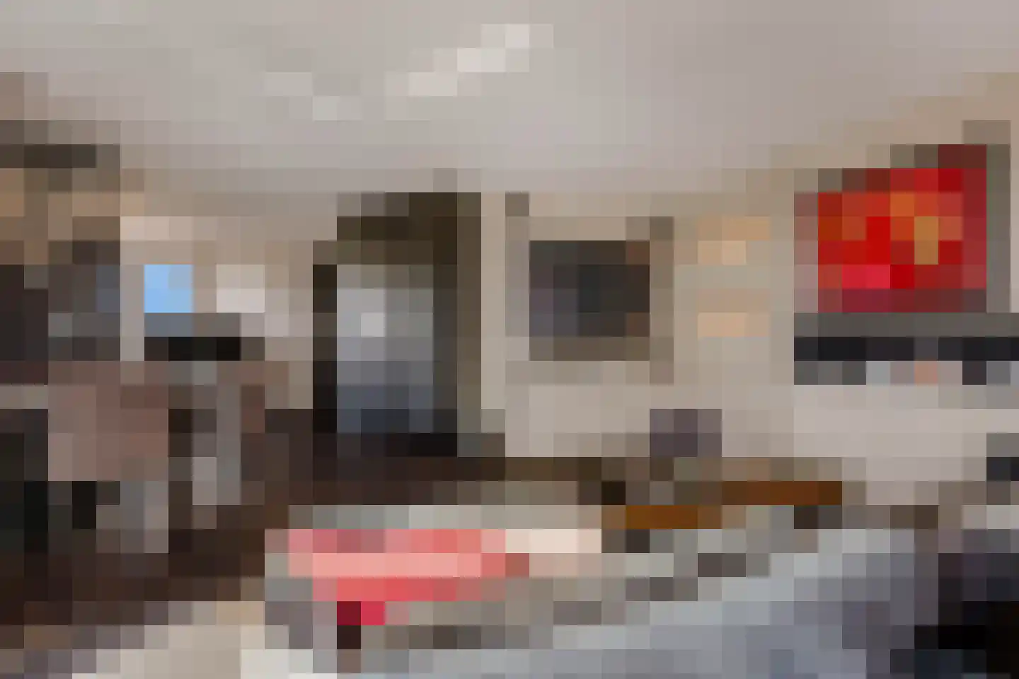 Labradorstroom 157 Huizen thumbnail 7