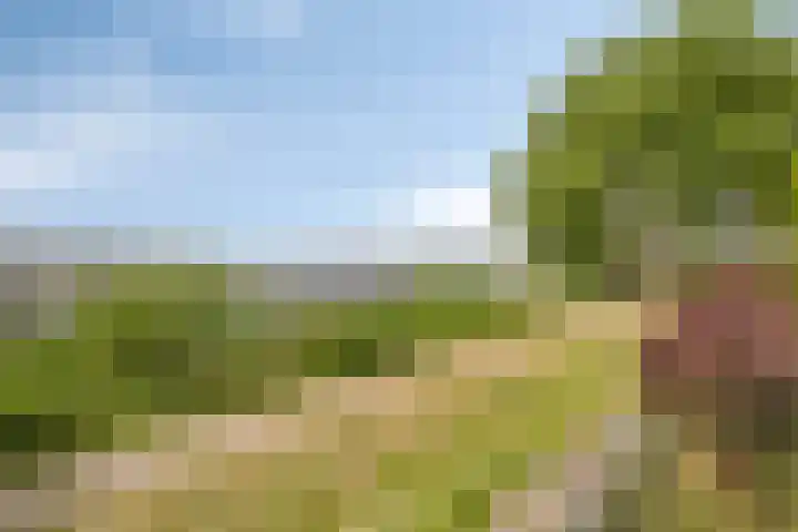 Labradorstroom 43 Huizen thumbnail 26