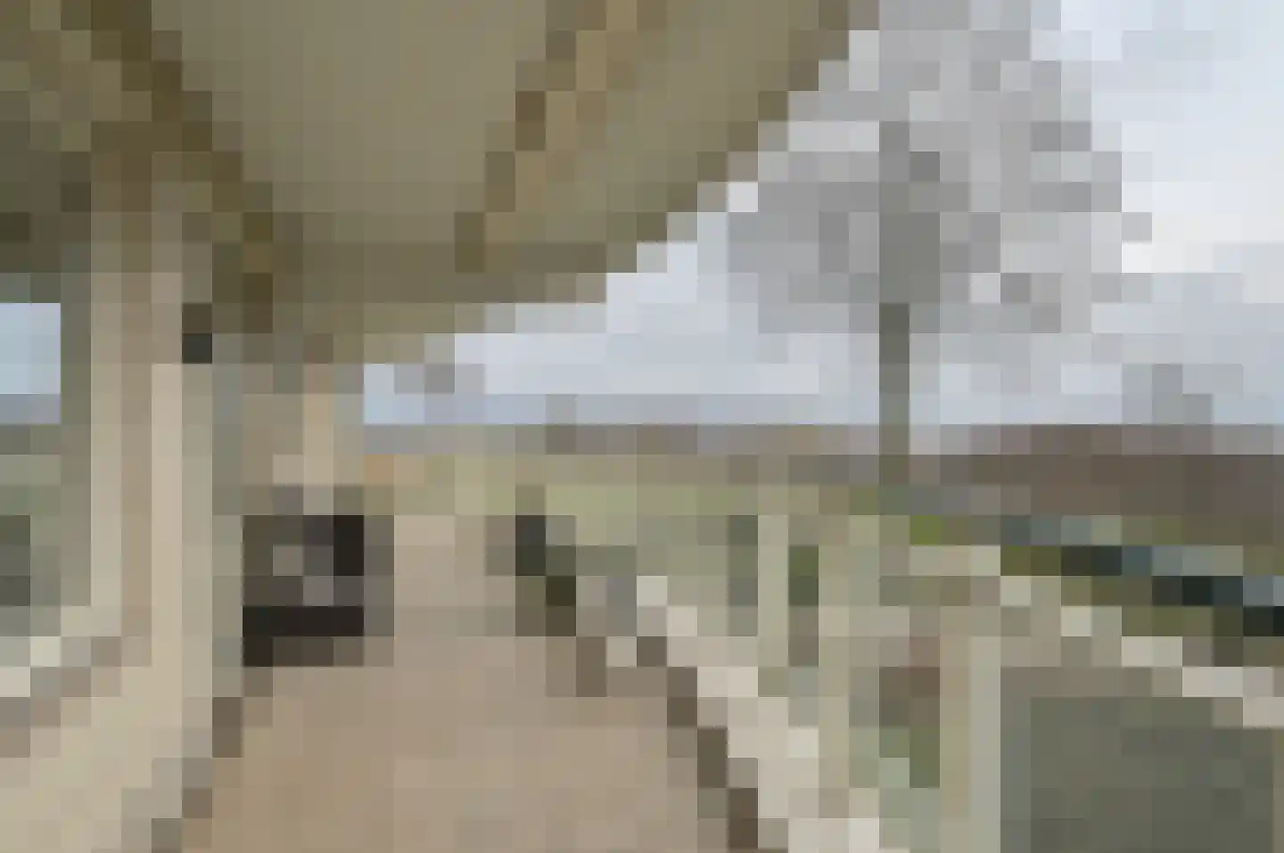 Labradorstroom 5 Huizen thumbnail 15