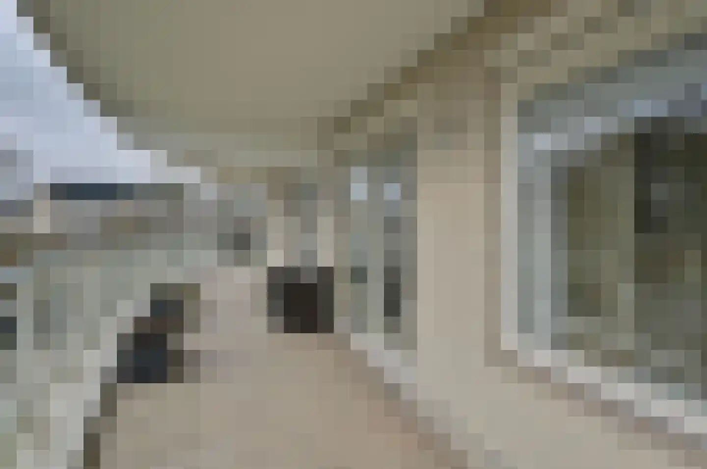 Labradorstroom 5 Huizen thumbnail 17