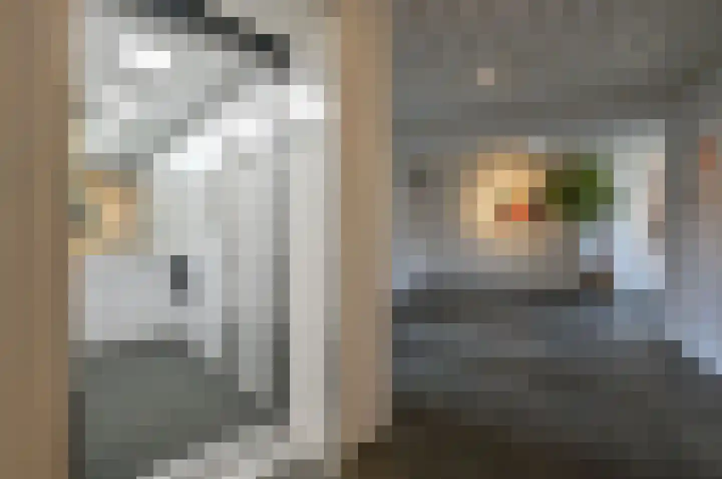 Labradorstroom 5 Huizen thumbnail 35