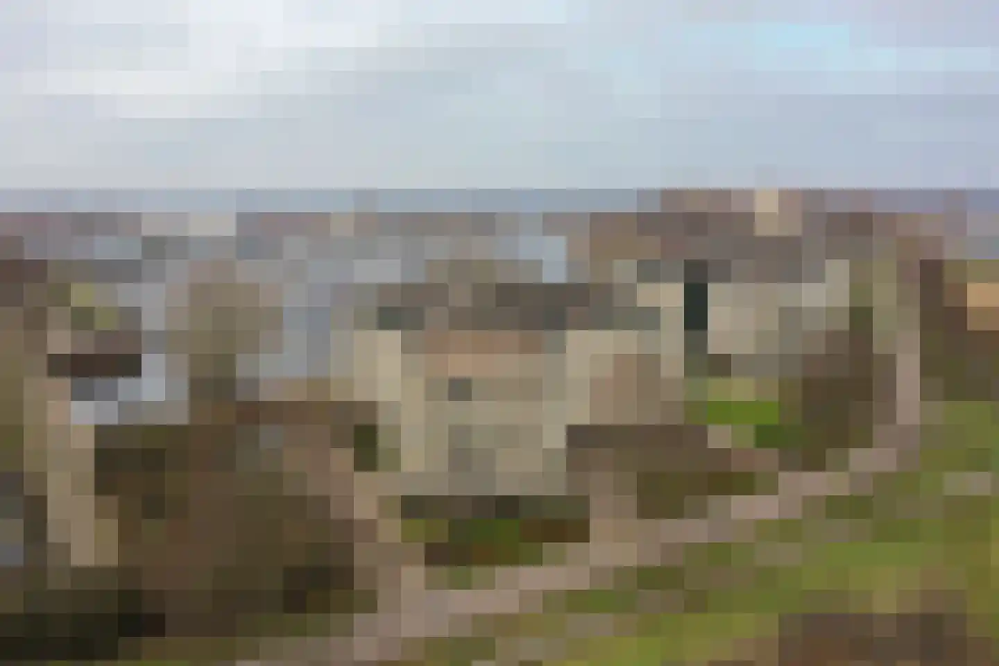 Labradorstroom 5 Huizen thumbnail 43