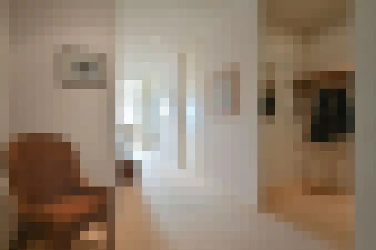 Labradorstroom 5 Huizen thumbnail 7