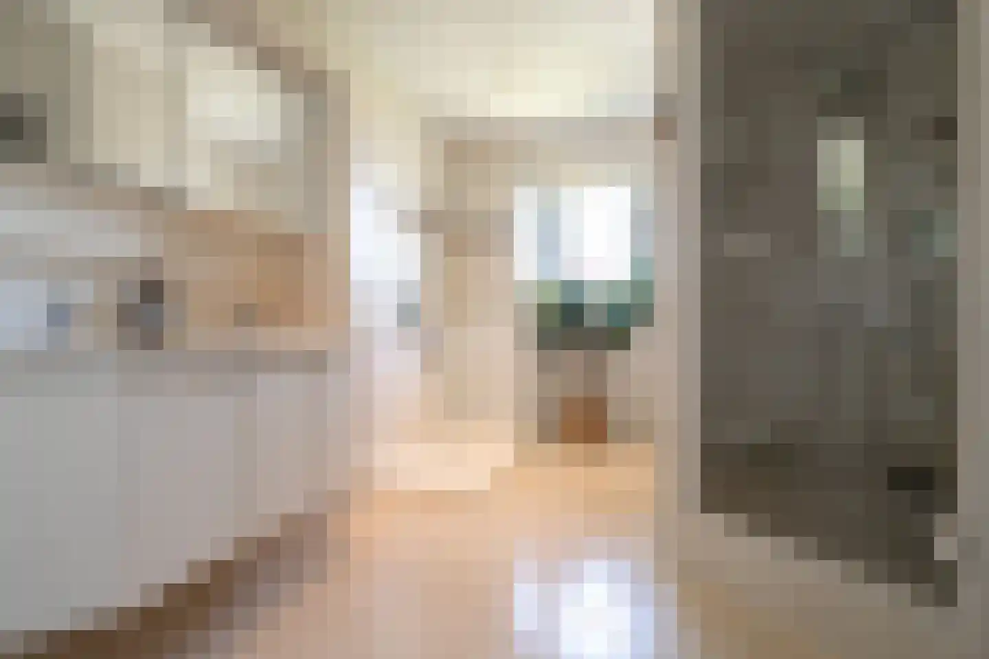 Labradorstroom 63 Huizen thumbnail 26