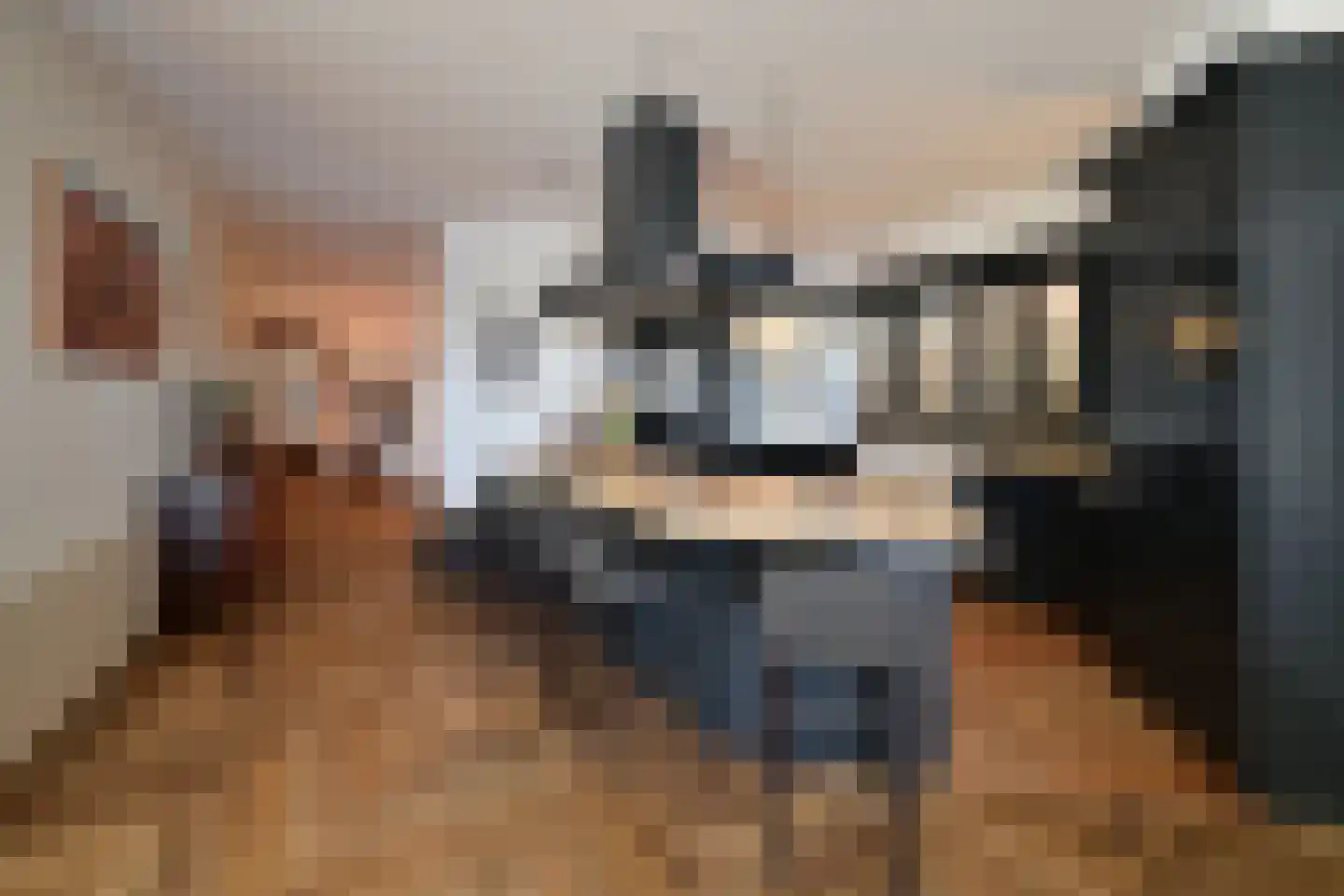 Labradorstroom 91 Huizen thumbnail 11