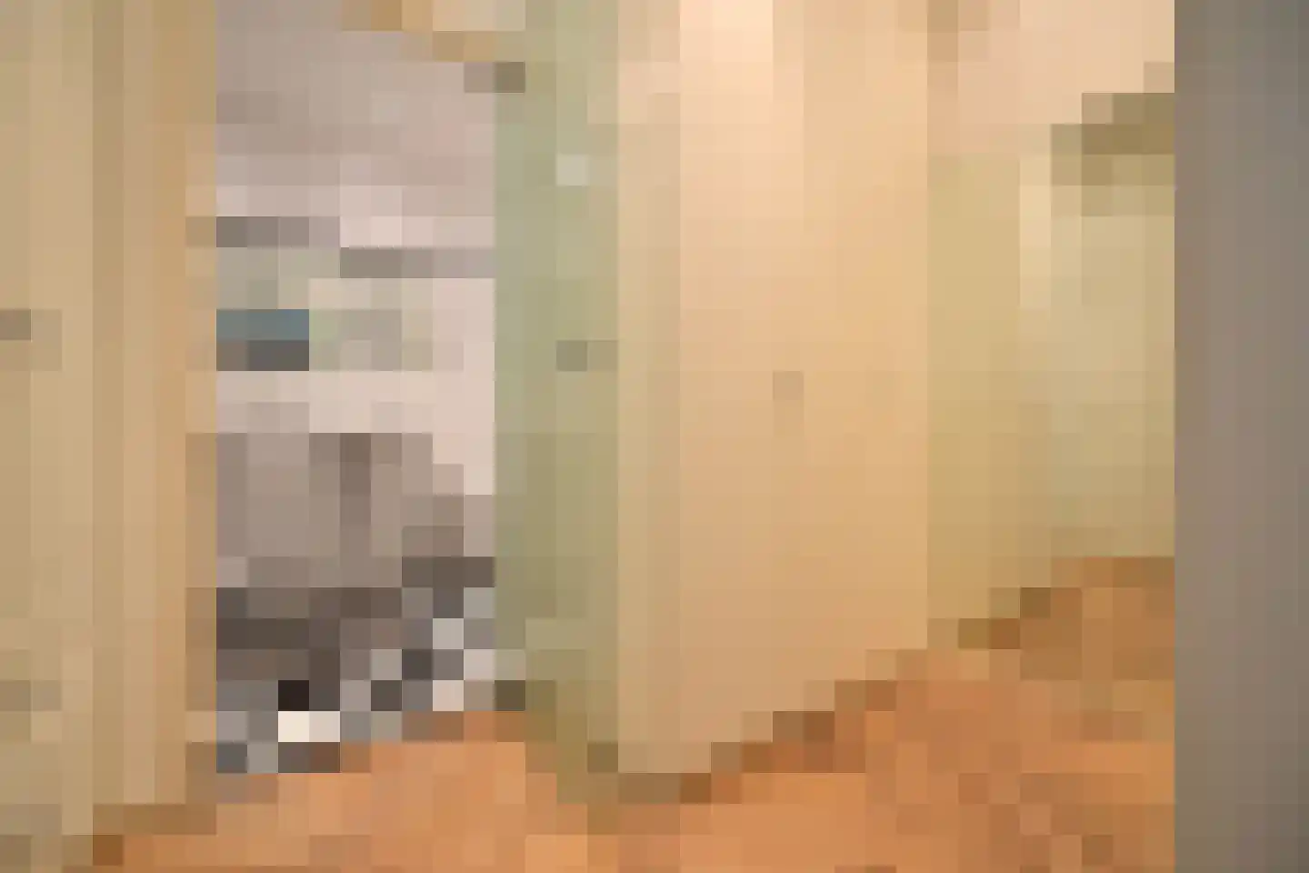 Labradorstroom 91 Huizen thumbnail 15